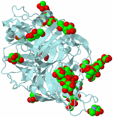 Image Biological Unit 6