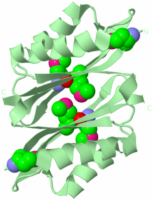 Image Biological Unit 3