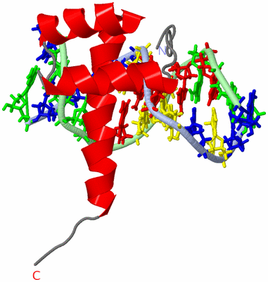 Image NMR Structure - model 1