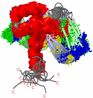 Image NMR Structure - all models
