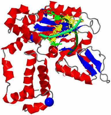 Image Asym./Biol. Unit