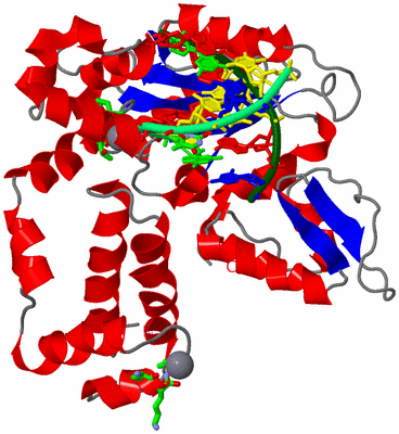 Image Asym./Biol. Unit - sites