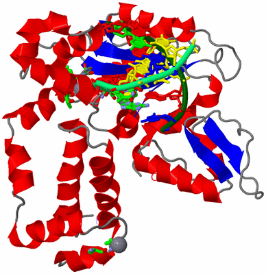 Image Asym./Biol. Unit - sites