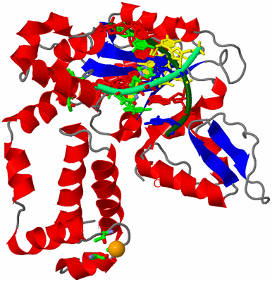 Image Asym./Biol. Unit - sites