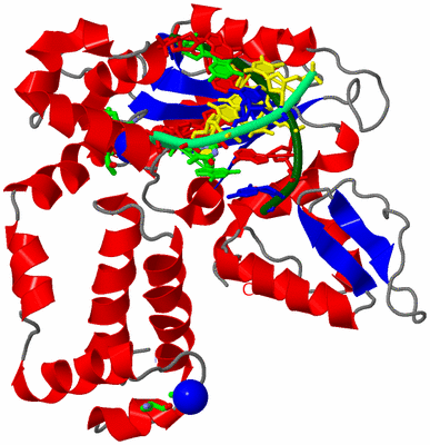 Image Asym./Biol. Unit - sites