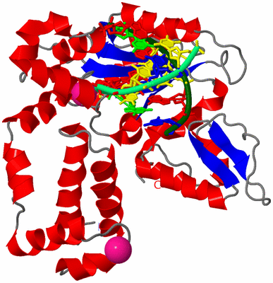 Image Asym./Biol. Unit