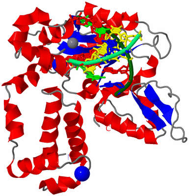 Image Asym./Biol. Unit