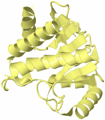 Image Biological Unit 4