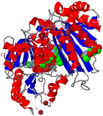 Image Asym./Biol. Unit