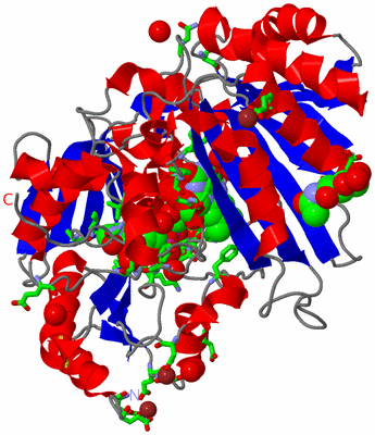 Image Asym./Biol. Unit - sites