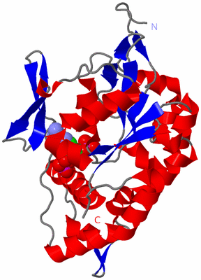 Image Asym./Biol. Unit