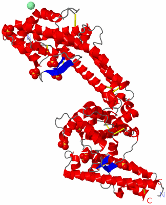 Image Asymmetric Unit