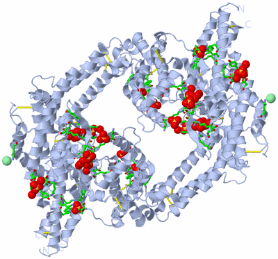 Image Biol. Unit 1 - sites