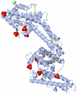 Image Biological Unit 2
