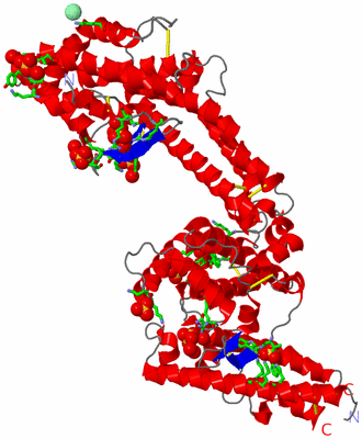 Image Asym. Unit - sites