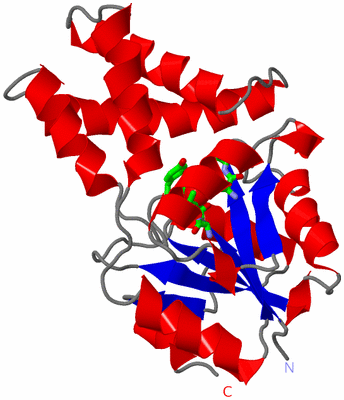 Image Asym. Unit - sites