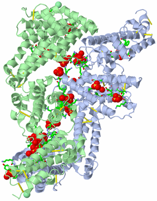 Image Asym./Biol. Unit - sites