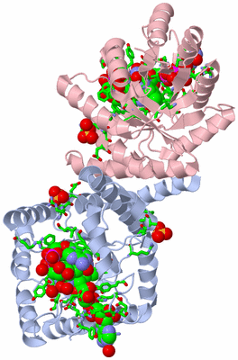 Image Biol. Unit 1 - sites