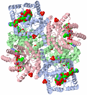 Image Biological Unit 3