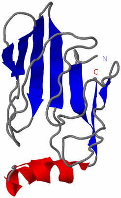 Image NMR Structure - model 1