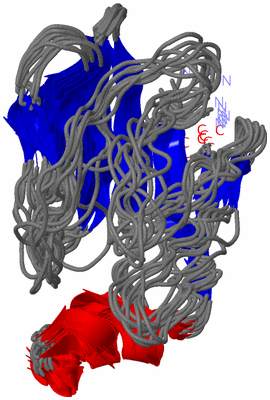 Image NMR Structure - all models