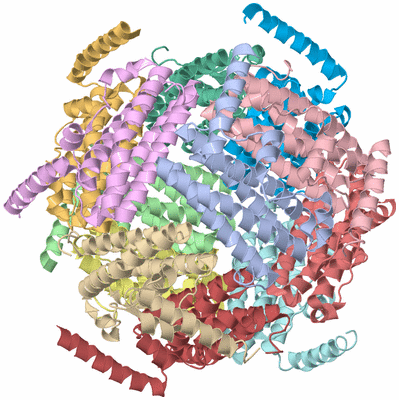 Image Asym./Biol. Unit