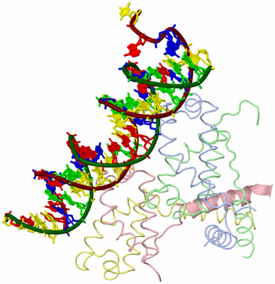 Image Asym./Biol. Unit