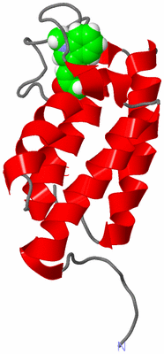 Image NMR Structure - model 1