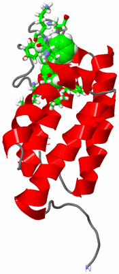 Image NMR Structure - model 1, sites