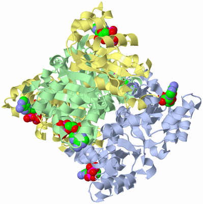 Image Biological Unit 1