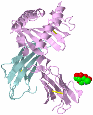 Image Biological Unit 3