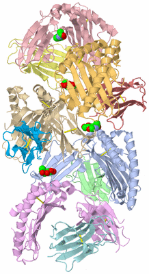 Image Biological Unit 6