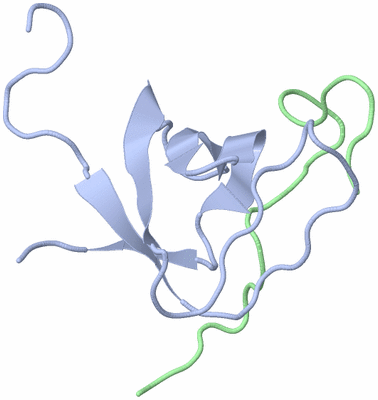 Image NMR Structure - model 1