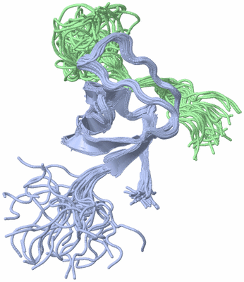 Image NMR Structure - all models