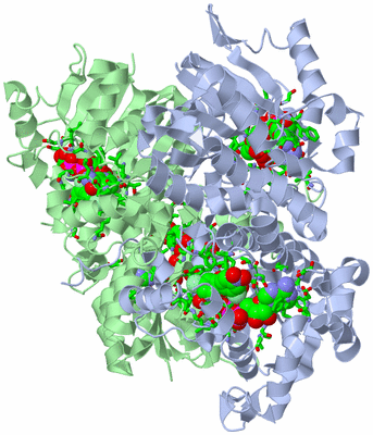 Image Biol. Unit 1 - sites