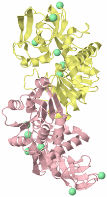 Image Biological Unit 2