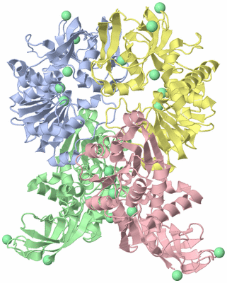 Image Biological Unit 3