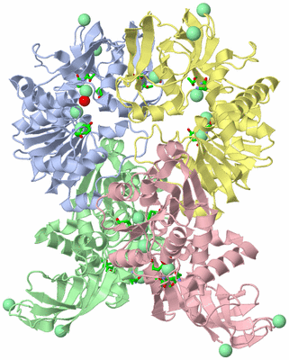 Image Asym. Unit - sites
