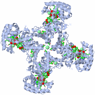 Image Biol. Unit 1 - sites