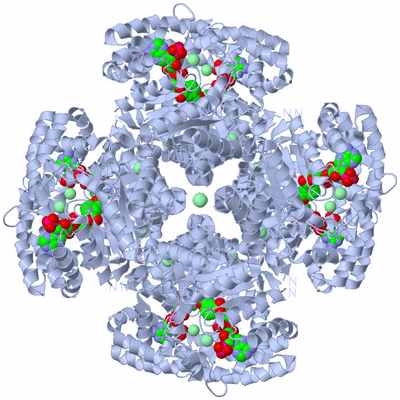 Image Biological Unit 2