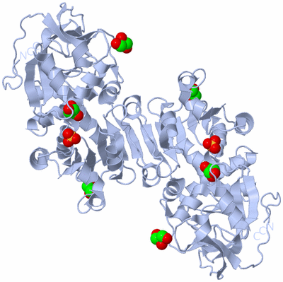 Image Biological Unit 1