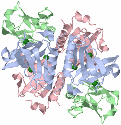 Image Biological Unit 3