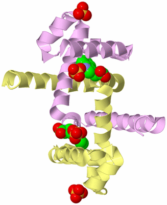 Image Biological Unit 2