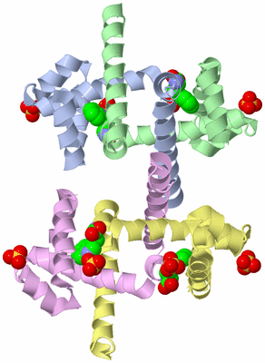 Image Biological Unit 3