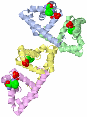 Image Biological Unit 5