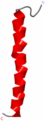 Image NMR Structure - model 1