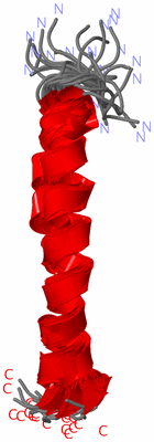 Image NMR Structure - all models