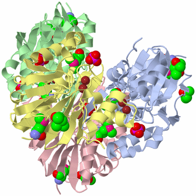 Image Asym./Biol. Unit