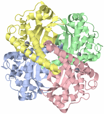 Image Asym./Biol. Unit