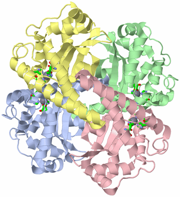 Image Asym./Biol. Unit - sites